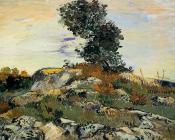 文森特 威廉 梵高 : 有岩石和树的风景